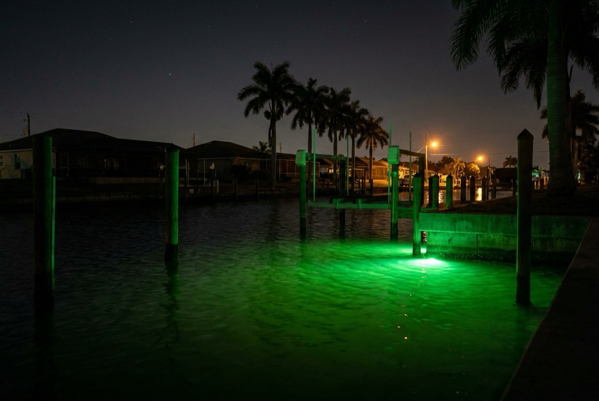 How Much Do Underwater Fish Lights Cost in Southwest Florida?